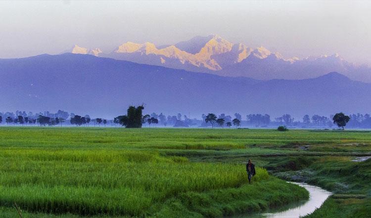 ‘মহানন্দার তীরে কাঞ্চনজঙ্ঘার চিকচিকে হাতছানি’