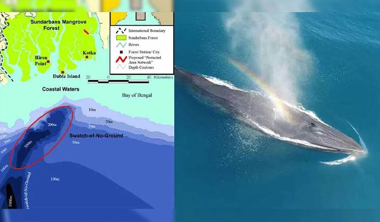 রহস্যময় ডুবন্ত গিরিখাত ‘সোয়াচ অব নো গ্রাউন্ড’