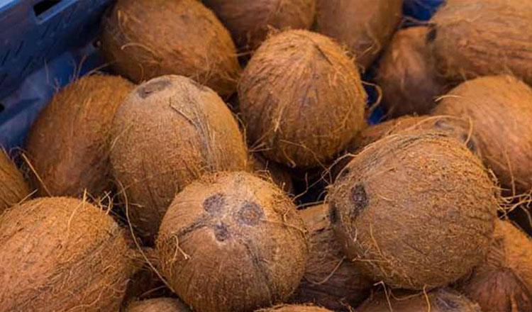 ‘লাইফ অব ট্রি’ নারকেলের পুষ্টিগুণ