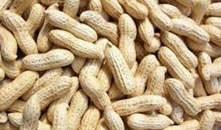 প্রেমফল ‘বাদাম’ যেন ‘সুপার পাওয়ার’