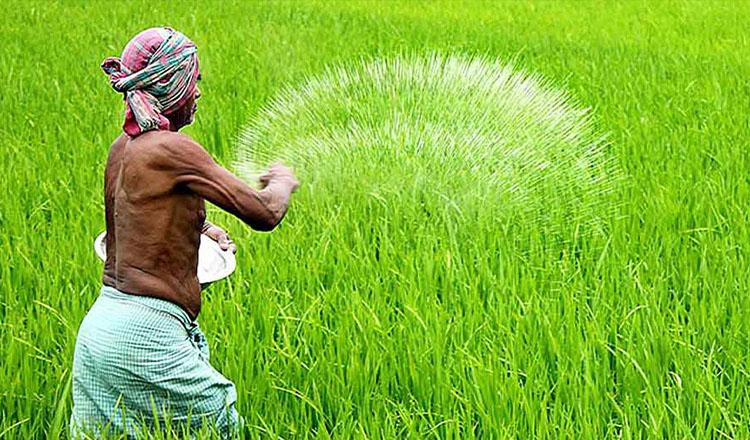 রাসায়নিক সার ব্যবহারে যেভাবে বাড়ছে পরিবেশের ঝুঁকি